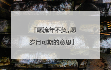 愿流年不负,愿岁月可期的意思
