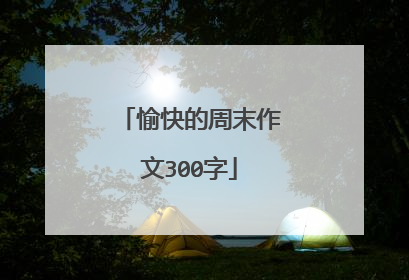 愉快的周末作文300字
