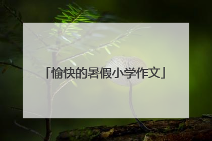 愉快的暑假小学作文