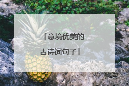意境优美的古诗词句子