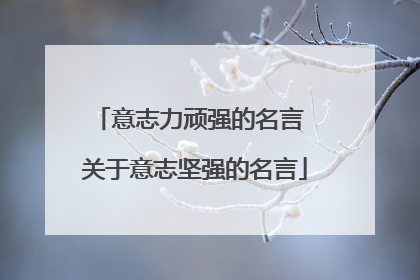 意志力顽强的名言 关于意志坚强的名言
