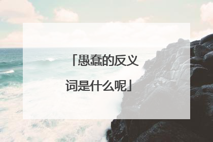 愚蠢的反义词是什么呢