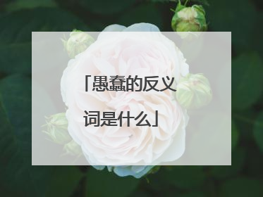 愚蠢的反义词是什么