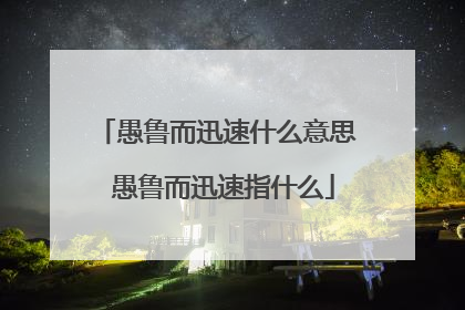 愚鲁而迅速什么意思 愚鲁而迅速指什么