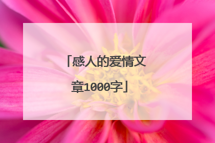 感人的爱情文章1000字
