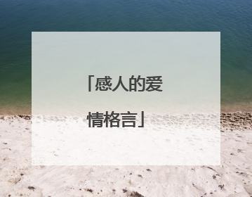 感人的爱情格言