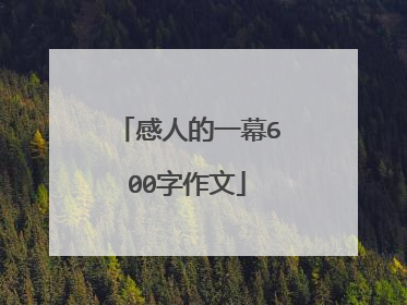 感人的一幕600字作文
