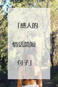 感人的情话简短句子