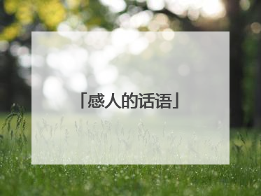 感人的话语