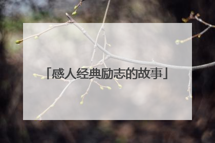 感人经典励志的故事