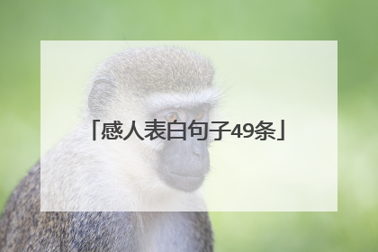 感人表白句子49条