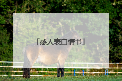感人表白情书
