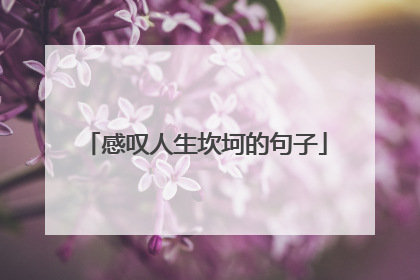 感叹人生坎坷的句子