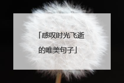 感叹时光飞逝的唯美句子
