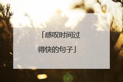 感叹时间过得快的句子