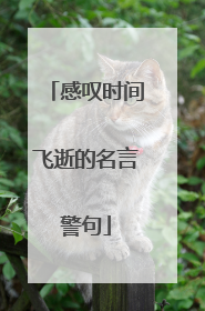 感叹时间飞逝的名言警句