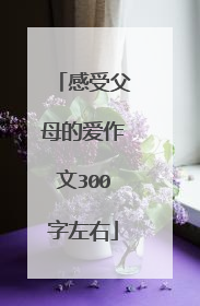 感受父母的爱作文300字左右