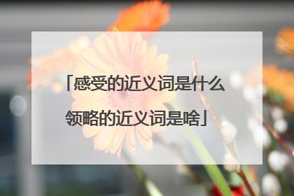 感受的近义词是什么领略的近义词是啥