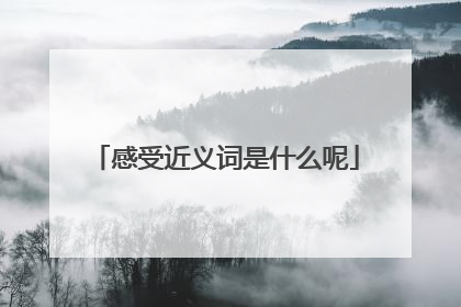 感受近义词是什么呢