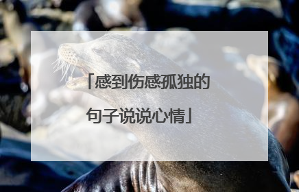 感到伤感孤独的句子说说心情