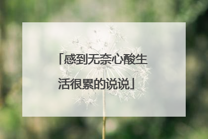感到无奈心酸生活很累的说说