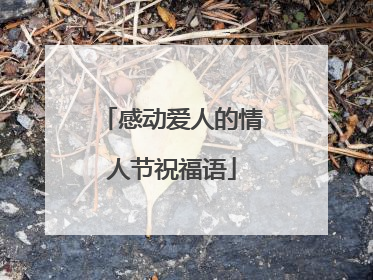 感动爱人的情人节祝福语