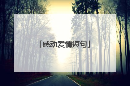 感动爱情短句