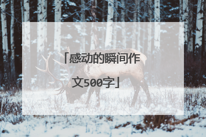 感动的瞬间作文500字