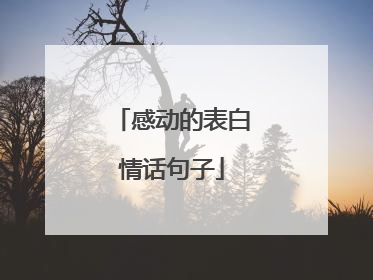 感动的表白情话句子