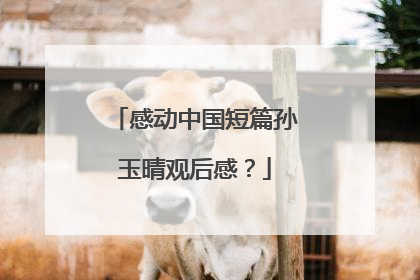 感动中国短篇孙玉晴观后感?