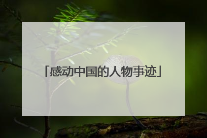 感动中国的人物事迹
