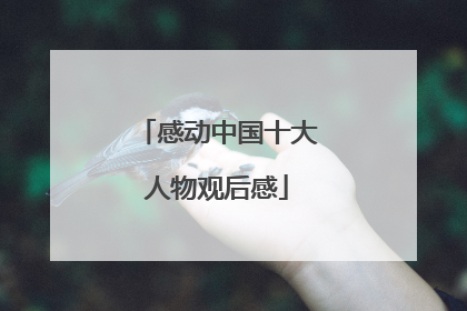 感动中国十大人物观后感