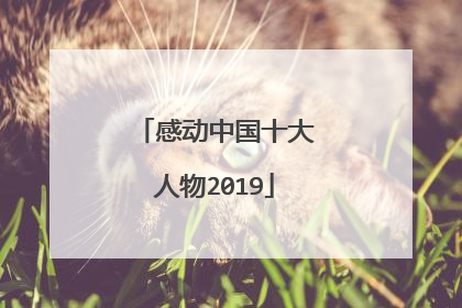 感动中国十大人物2019