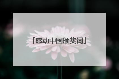 感动中国颁奖词