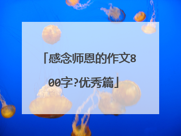 感念师恩的作文800字?优秀篇