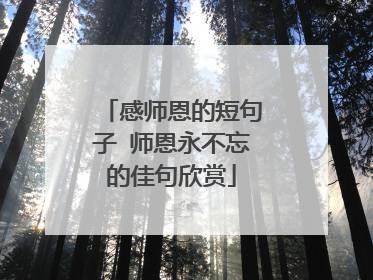 感师恩的短句子 师恩永不忘的佳句欣赏