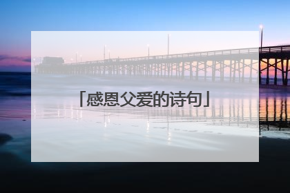 感恩父爱的诗句