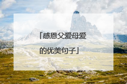感恩父爱母爱的优美句子