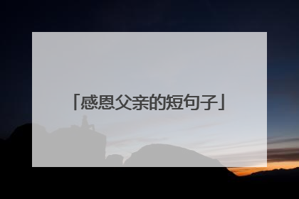 感恩父亲的短句子