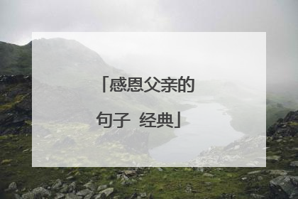 感恩父亲的句子 经典