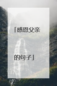 感恩父亲的句子