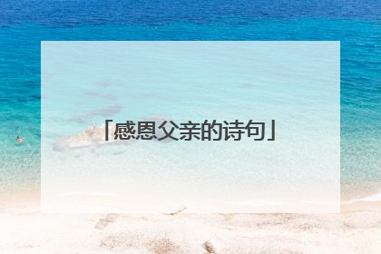 感恩父亲的诗句