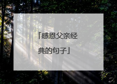 感恩父亲经典的句子