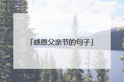 感恩父亲节的句子