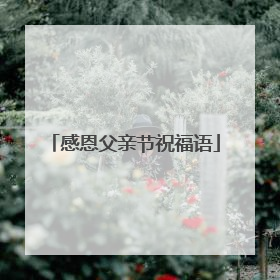 感恩父亲节祝福语