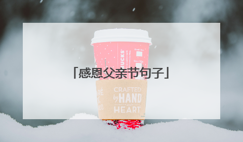 感恩父亲节句子