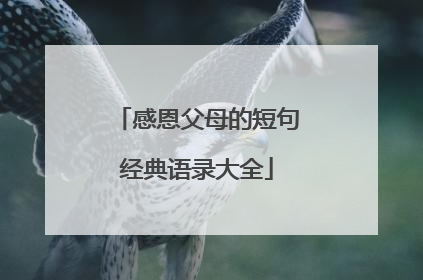 感恩父母的短句经典语录大全