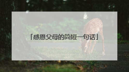 感恩父母的简短一句话