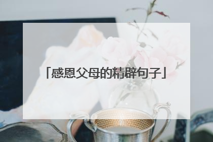 感恩父母的精辟句子