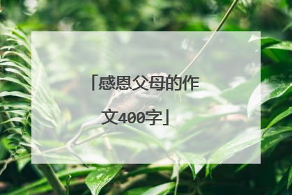 感恩父母的作文400字